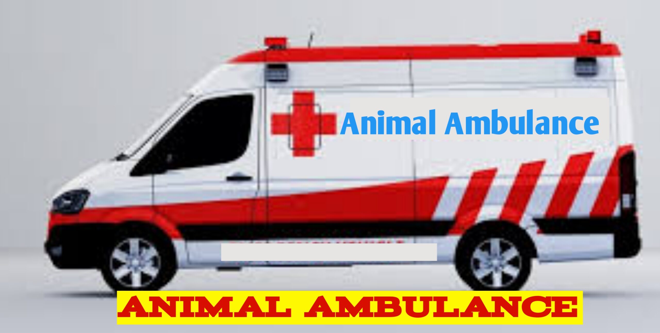 Pashu Ambulance Service